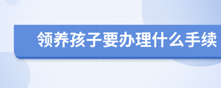 领养孩子要办理什么手续