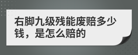 右脚九级残能废赔多少钱，是怎么赔的