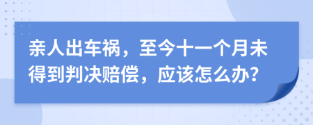 亲人出车祸，至今十一个月未得到判决赔偿，应该怎么办？