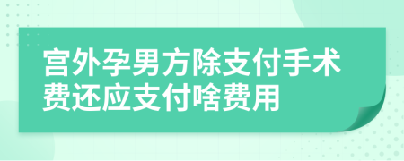 宫外孕男方除支付手术费还应支付啥费用