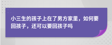 小三生的孩子上在了男方家里，如何要回孩子，还可以要回孩子吗