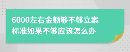 6000左右金额够不够立案标准如果不够应该怎么办