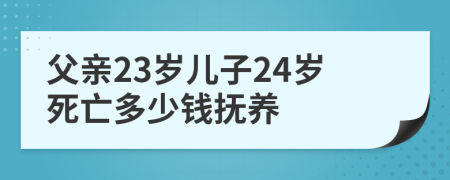 父亲23岁儿子24岁死亡多少钱抚养