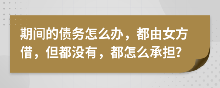 期间的债务怎么办，都由女方借，但都没有，都怎么承担？