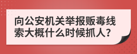 向公安机关举报贩毒线索大概什么时候抓人？