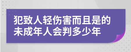 犯致人轻伤害而且是的未成年人会判多少年