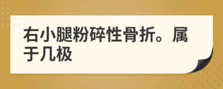 右小腿粉碎性骨折。属于几极