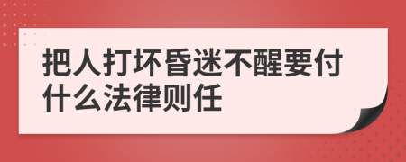 把人打坏昏迷不醒要付什么法律则任