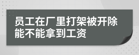 员工在厂里打架被开除能不能拿到工资