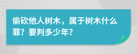 偷砍他人树木，属于树木什么罪？要判多少年？