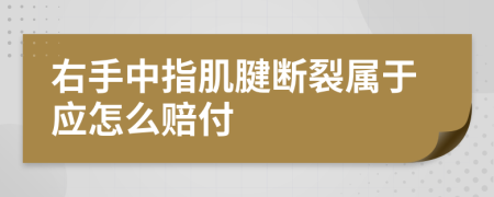 右手中指肌腱断裂属于应怎么赔付