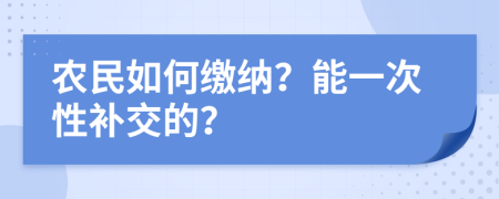 农民如何缴纳？能一次性补交的？