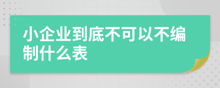 小企业到底不可以不编制什么表