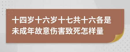 十四岁十六岁十七共十六各是未成年故意伤害致死怎样量