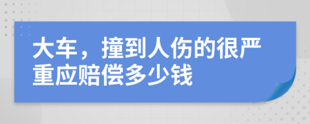 大车，撞到人伤的很严重应赔偿多少钱