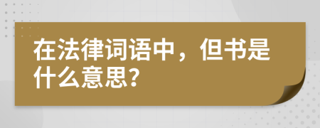 在法律词语中，但书是什么意思？