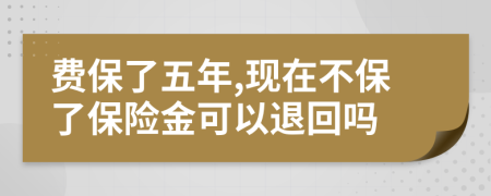 费保了五年,现在不保了保险金可以退回吗
