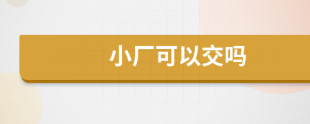 小厂可以交吗