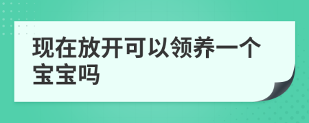 现在放开可以领养一个宝宝吗