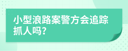 小型浪路案警方会追踪抓人吗？