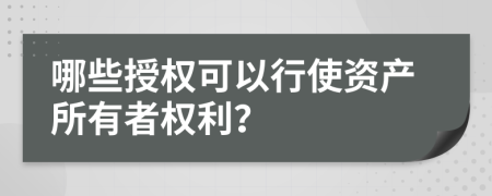 哪些授权可以行使资产所有者权利？