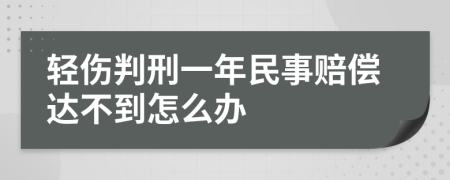 轻伤判刑一年民事赔偿达不到怎么办