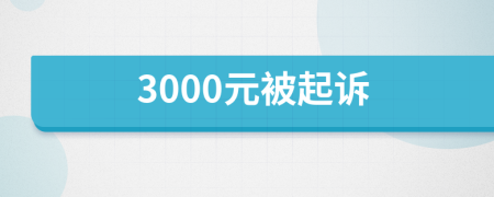 3000元被起诉