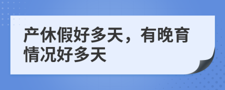 产休假好多天，有晚育情况好多天