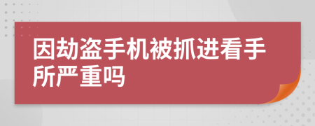 因劫盗手机被抓进看手所严重吗