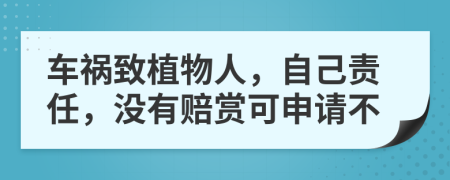 车祸致植物人，自己责任，没有赔赏可申请不