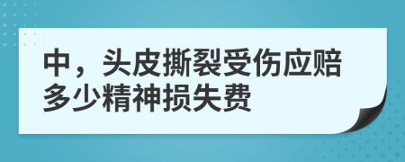 中，头皮撕裂受伤应赔多少精神损失费