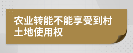 农业转能不能享受到村土地使用权