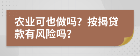 农业可也做吗？按揭贷款有风险吗？