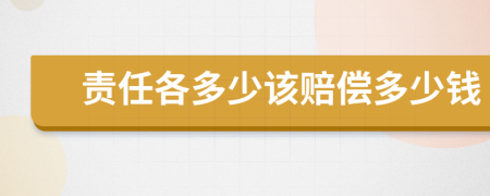 责任各多少该赔偿多少钱