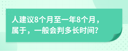 人建议8个月至一年8个月，属于，一般会判多长时间？