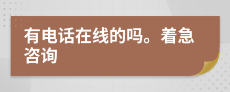 有电话在线的吗。着急咨询