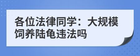 各位法律同学：大规模饲养陆龟违法吗