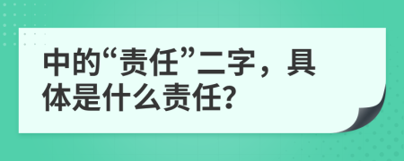 中的“责任”二字，具体是什么责任？