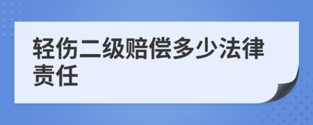 轻伤二级赔偿多少法律责任