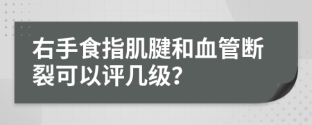 右手食指肌腱和血管断裂可以评几级？