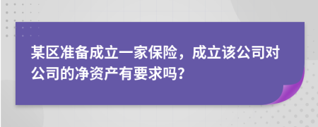 某区准备成立一家保险，成立该公司对公司的净资产有要求吗？