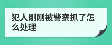 犯人刚刚被警察抓了怎么处理