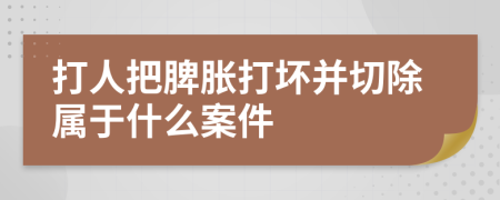 打人把脾胀打坏并切除属于什么案件