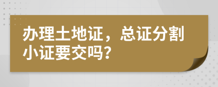 办理土地证，总证分割小证要交吗？