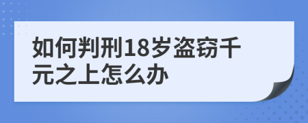 如何判刑18岁盗窃千元之上怎么办