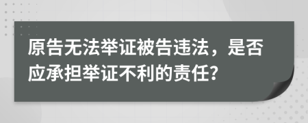 原告无法举证被告违法，是否应承担举证不利的责任？