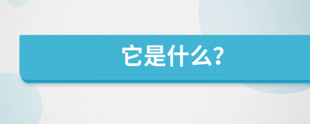 它是什么？