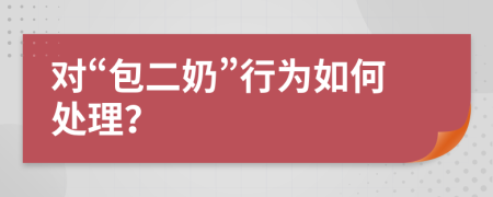 对“包二奶”行为如何处理？