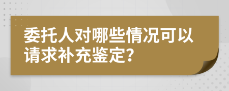 委托人对哪些情况可以请求补充鉴定？