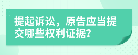 提起诉讼，原告应当提交哪些权利证据？